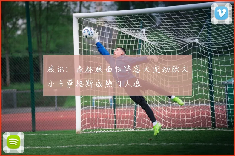 狼记：森林狼面临阵容大变动欧文小卡萨格斯成热门人选